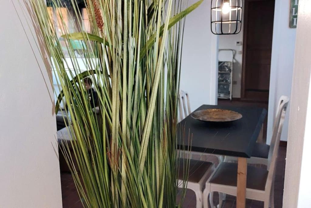 Apartmán Ontdek Brugge En Vlaanderen! Zedelgem Exteriér fotografie